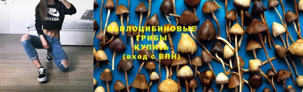 амф Магадан