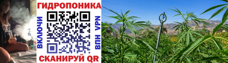ОМГ ОМГ рабочий сайт  Сурск  Бошки Шишки LSD WEED  что такое наркотик 